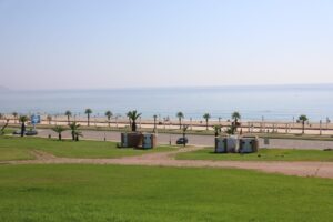 IMG 20200723 WA0070  - جريدة الصوت المغربي