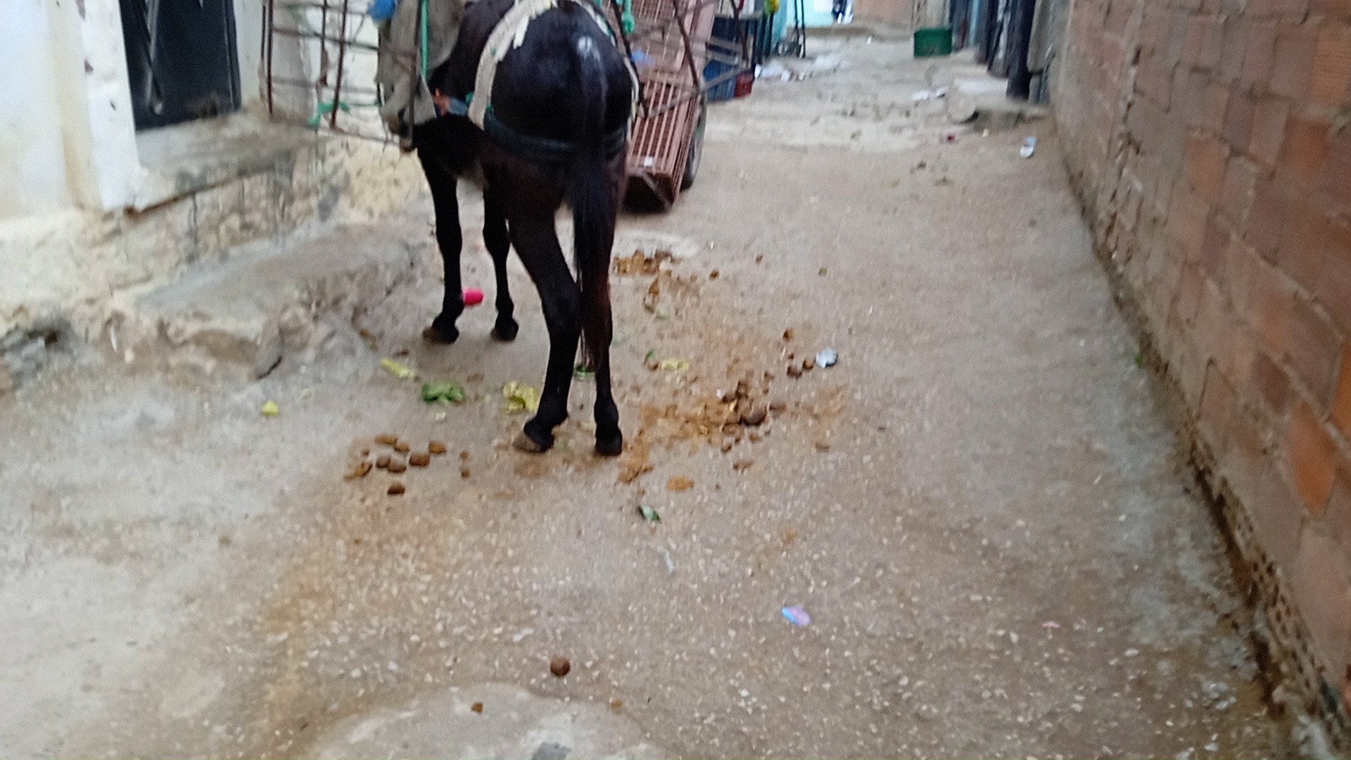 1663957088188 - جريدة الصوت المغربي