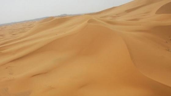 الصحراء المغربية: فرنسا تجدد دعمها للحكم الذاتي