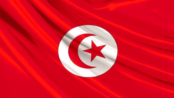 تونس: أول محاكمة بتهمة العنصرية