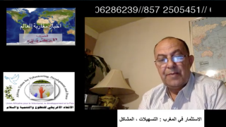 الاستثمار في المغرب: اراء مغاربة العالم