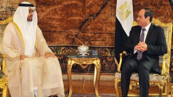 مصر والامارات العربية المتحدة مستعدتان لمواجهة التحديات