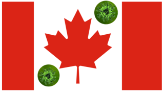 كندا /عدد الإصابات بفيروس كورونا يتخطى الـ28.3 ألف حالة…….