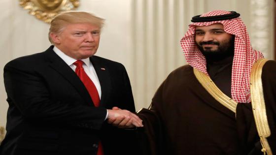 U.S. President Donald Trump and Saudi Deputy Crown Prince and Minister of Defense Mohammed bin Salman meet at the White House in Washington, U.S., March 14, 2017. REUTERS/Kevin Lamarque