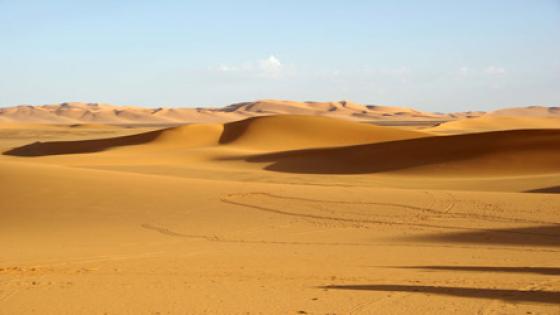 الجيش الجزائري يختطف 9 موريتانيين .