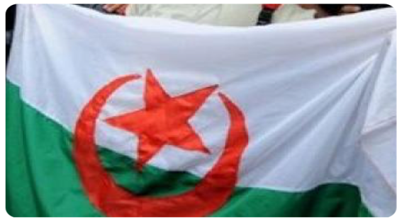 الجزائر: المعارضة تتوحد……