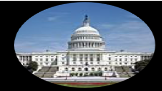 الولايات المتحدة الامريكية/ بداية التحقيق حول ظهور فيروس كورونا ………