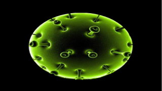 ماذا ينتظر الشخص الذي يتعافى من “كوفيد-19” ؟؟؟؟؟؟؟؟