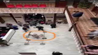 بسبب فيروس كورونا مواطنة تتهجم على موظفو القنصلية و تخرب ممتلكاتها
