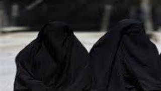 المحكمة الأوروبية لحقوق الإنسان والنقاب……