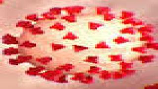 أمريكا : 884 وفاة جديدة خلال 24 ساعة