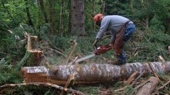 جريمة في حق البيئة بدار قشانة جماعة خميس أنجرة.
